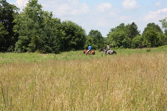 paseo a caballo